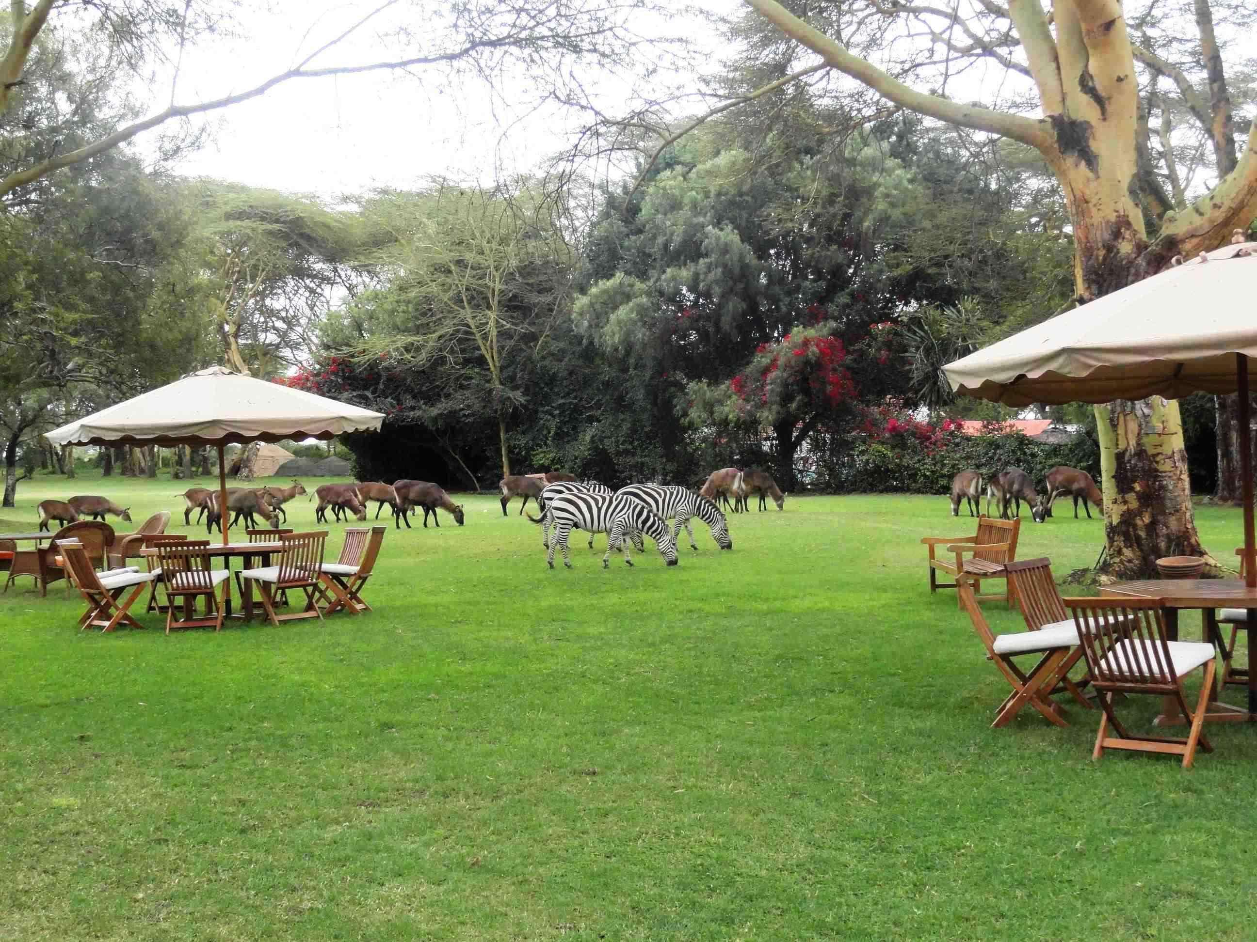 Muthu Lake Naivasha Country Club, Naivasha Karagite Eksteriør bilde